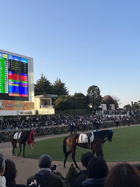 我想日本了